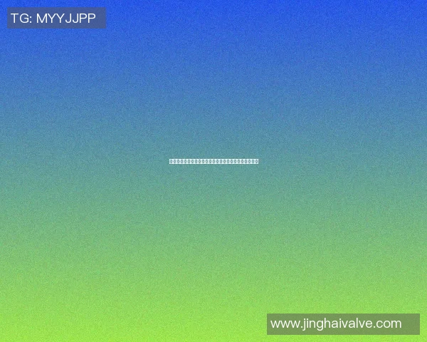 明星篮球方案助力青少年成长与梦想实现的全新路径探索